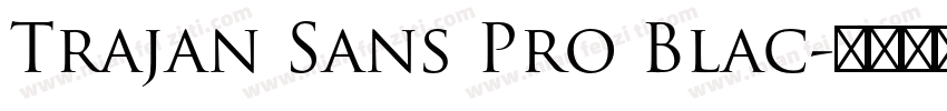 Trajan Sans Pro Blac字体转换